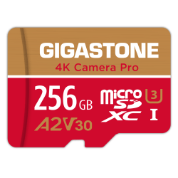 Dane-Elec Gigastone 4K Class10 U3 A2 V30 Camera Pro MicroSDXC Card, 256GB