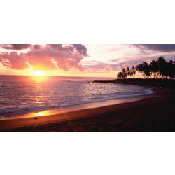 Biggies Wall Mural, 27" x 54", Sunset