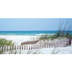 Biggies Wall Mural, 27" x 54", Carolina Coast