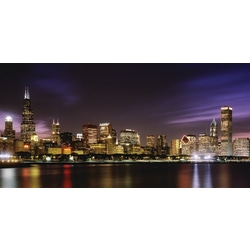 Biggies Wall Mural, 27" x 54", Chicago Skyline