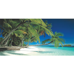 Biggies Wall Mural, 40" x 80", Beach
