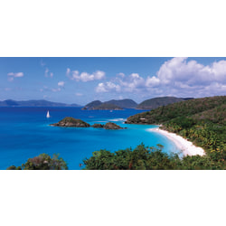 Biggies Wall Mural, 40" x 80", Island Cove