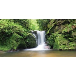 Biggies Wall Mural, 40" x 80", Waterfall