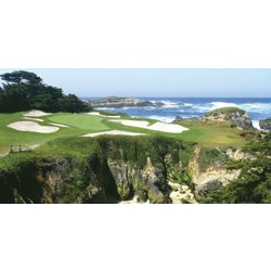 Biggies Wall Mural, 60" x 120", Pebble Beach