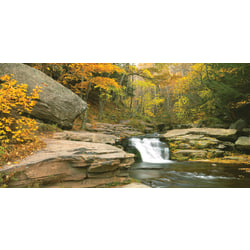 Biggies Wall Mural, 60" x 120", Stream