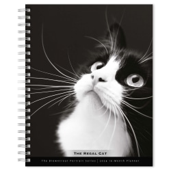 2023-2024 BrownTrout 16-Month Weekly/Monthly Engagement Planner, 7-3/4"x7-3/16", The BrownTrout Portrait Series: The Regal Cat, September To December