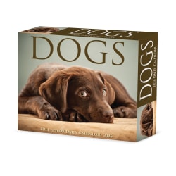 2026 Willow Creek Press Page-A-Day Daily Desk Calendar, 6-1/4" x 5-1/2", Dogs, January To December, 54147