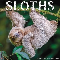 2025 Willow Creek Press Monthly Wall Calendar, 12" x 12", Sloths, January 2025 to December 2025, 44957