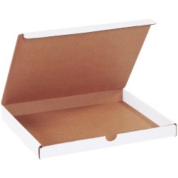 Partners Brand White Literature Mailers, 11 1/8" x 8 3/4" x 1", Pack Of 50