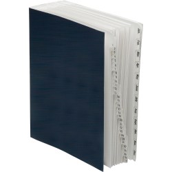 SKILCRAFT® Daily/Monthly Expanding Desk File Sorter - Desktop - 30% Recycled - Acrylic - 1 Each