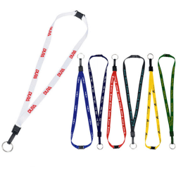 Breakaway Lanyard with Key Ring, Assorted Colors