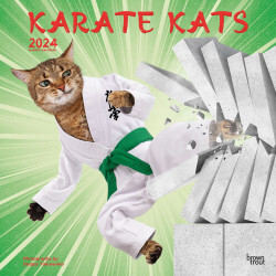 2024 Brown Trout Monthly Square Wall Calendar, 12" x 12", Karate Cats, January To December