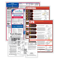 ComplyRight™ Restaurant Federal And State Labor Law Poster Set, English, Arkansas