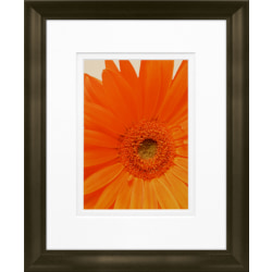 Timeless Frames Marren Espresso-Framed Floral Artwork, 8" x 10", Daisy In Bloom