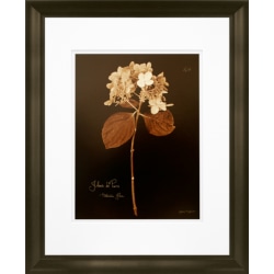 Timeless Frames Marren Espresso-Framed Floral Artwork, 16" x 20", Hydrangea