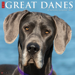 2026 Willow Creek Press Animals Monthly Wall Calendar, 12" x 12", Great Danes, January To December, 51351