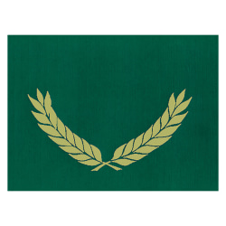 Hayes Publishing Gold Foil Stamped Green Certificate Folders, 10" x 13", Pack Of 30