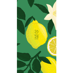 Willow Creek Press Checkbook 2-Year Monthly Academic Pocket Planner, 3-1/2" x 6-1/2", Lemon Fresh, July 2026 to June 2028, Total Quantity 1