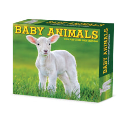 2026 Willow Creek Press Page-A-Day Daily Desk Calendar, 6-1/4" x 5-1/2", Baby Animals, January To December, 53928