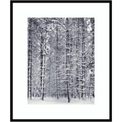 Amanti Art Pine Forest In The Snow Yosemite National Park by Ansel Adams Wood Framed Wall Art Print, 31"W x 37"H, Black