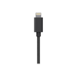 ChargeTech - Lightning cable - Lightning male to 24 pin USB-C male - 3.3 ft - 20W Power Delivery support
