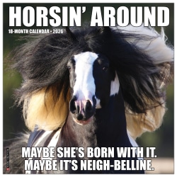 2026 Willow Creek Press Humor & Comics Monthly Wall Calendar, 12" x 12", Horsin’ Around, January To December, 51511