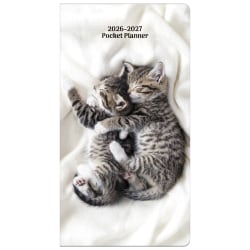 2026-2027 DateWorks Monthly Pocket Planner, 3-1/2" x 6-1/2", Kittens, January 2026 To December 2027, 262008OD