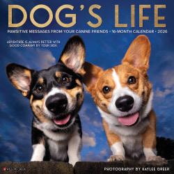 2026 Willow Creek Press Animals Monthly Wall Calendar, 12" x 12", Dog's Life, January To December, 51009