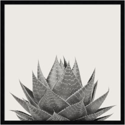Amanti Art Haze Aloe Succulent by The Creative Bunch Wood Framed Wall Art Print, 25"H x 25"W, Black