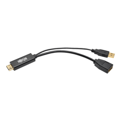 Tripp Lite HDMI To DisplayPort Active Converter With USB Power, 6"