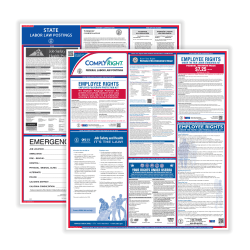 ComplyRight™ Federal And State Labor Law Poster Set, English, Florida