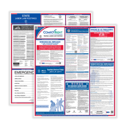 ComplyRight™ Federal And State Labor Law Poster Set, Spanish, New Jersey
