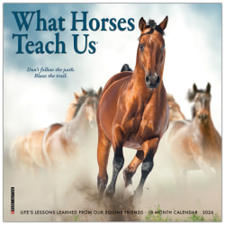 2026 Willow Creek Press Monthly Mini Wall Calendar, 7" x 7", What Horses Teach Us, January To December, 53843