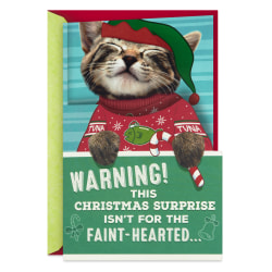Hallmark Funny Christmas Card With Sound and Motion (Ticklish Kitten)