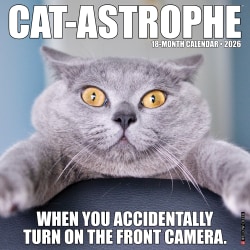 2026 Willow Creek Press Monthly Wall Calendar, 12" x 12", Catastrophe, January To December, O50606