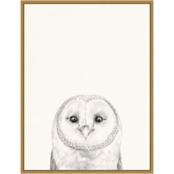 Amanti Art Animal Mug III Owl by Victoria Borges Framed Canvas Wall Art Print, 24"H x 18"W, Gold
