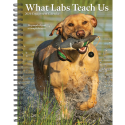 2026 Willow Creek Press Weekly Engagement Calendar, 6-1/2" x 8-1/2", What Labs Teach Us, January To December, 55267