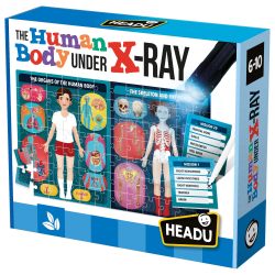 Headu The Human Body Under X-Ray
