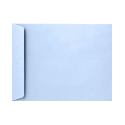 LUX Open-End 10" x 13" Envelopes, Peel & Press Closure, Baby Blue, Pack Of 1,000