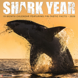 2026 Willow Creek Press Animals Monthly Wall Calendar, 12" x 12", Shark Year, January To December, 52747