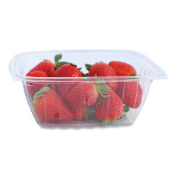 World Centric® PLA Rectangular Deli Containers, 32 Oz, Clear, Pack Of 600 Containers