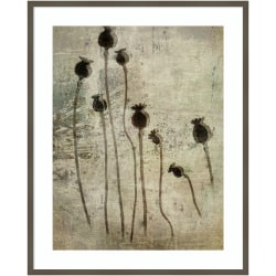 Amanti Art Poppy Seedlings by Nel Talen Wood Framed Wall Art Print, 33"W x 41"H, Gray