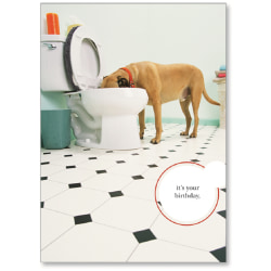Viabella Fun Birthday Greeting Card With Envelope, Toilet Dog, 5" x 7"