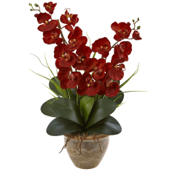 Nearly Natural Double Phalaenopsis Harvest Orchid Silk Floral Arrangement With Ceramic Vase, 25"H x 15-1/2"W x 12"D, Autumn