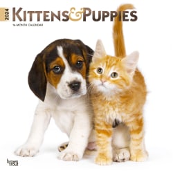 2024 Brown Trout Monthly Square Wall Calendar, 12" x 12", Kittens & Puppies, January To December