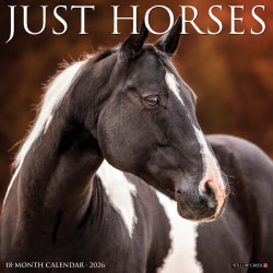 2026 Willow Creek Press Animals Monthly Wall Calendar, 12" x 12", Horses, January To December, 51504
