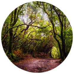 Tickit Forest Discovery Play Mat, 26.4"