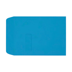 LUX #9 1/2 Open-End Window Envelopes, Top Left Window, Self-Adhesive, Pool, Pack Of 500