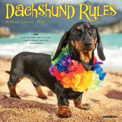 2025 Willow Creek Press Mini Wall Calendar, 7" x 7", Dachshund, January 2025 To December 2025, 45749