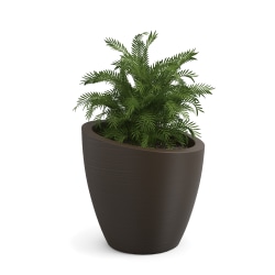 Mayne Modesto Planter, 20"H, Espresso